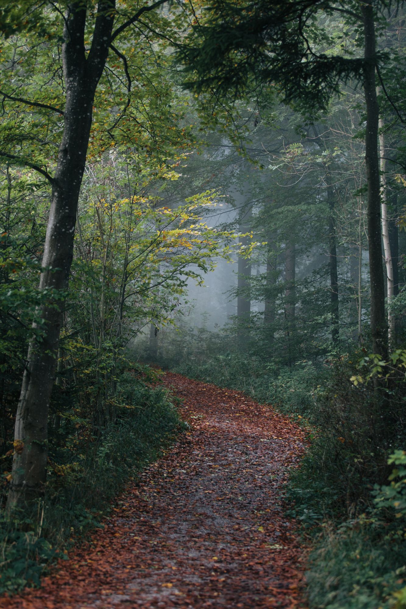 marco-meyer-8Fn_Fh0X5AY-unsplash